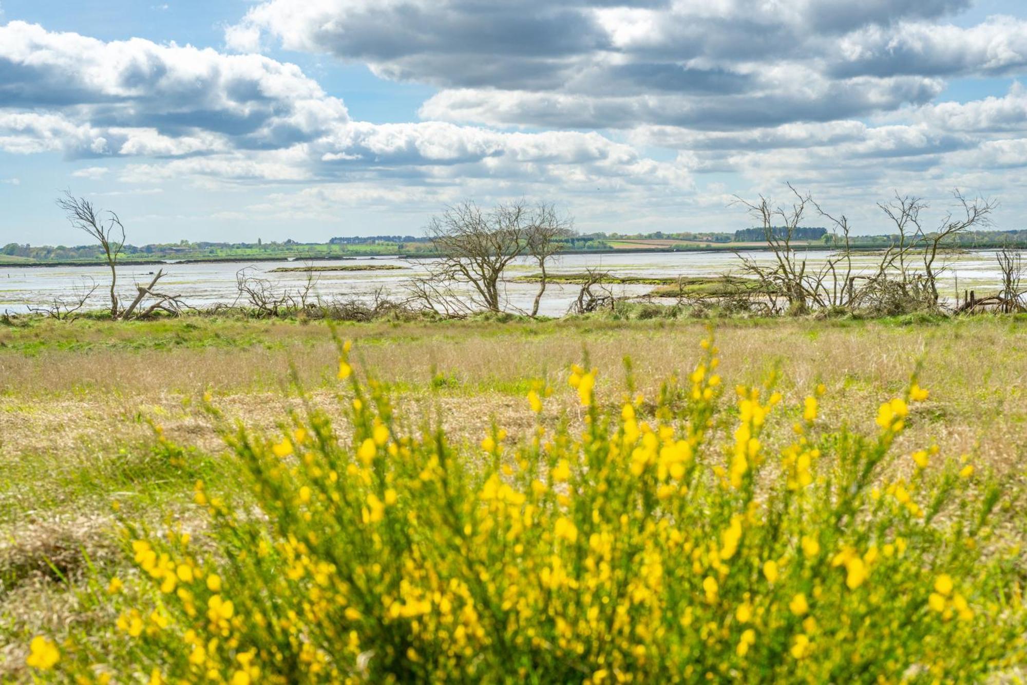 Marsh View Villa Aldeburgh Eksteriør billede